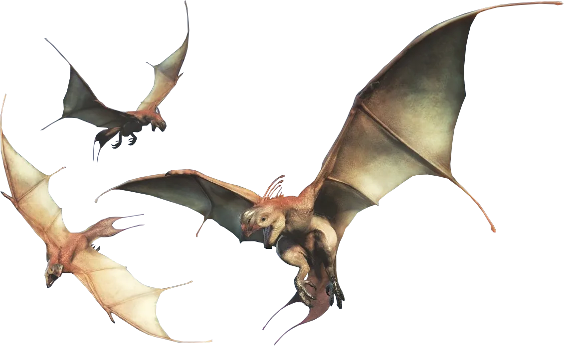 Raphinos