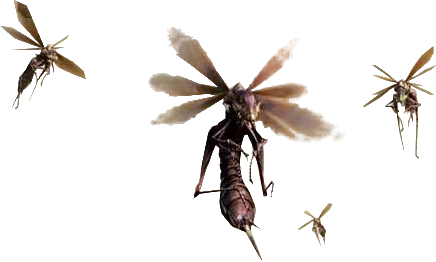 Vespoid