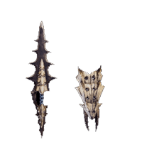 Water Spike IV